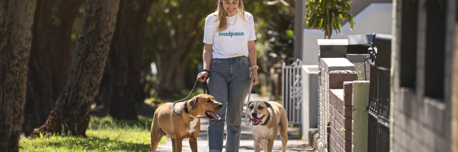 Mad Paws banner