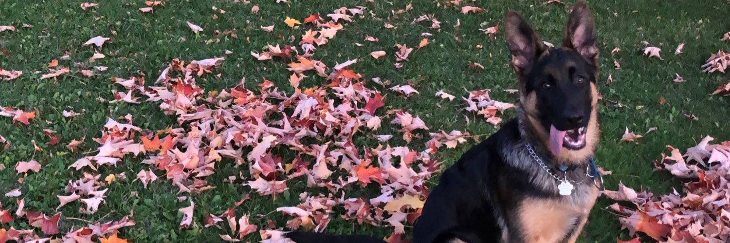 FordEmily_'s profile banner image