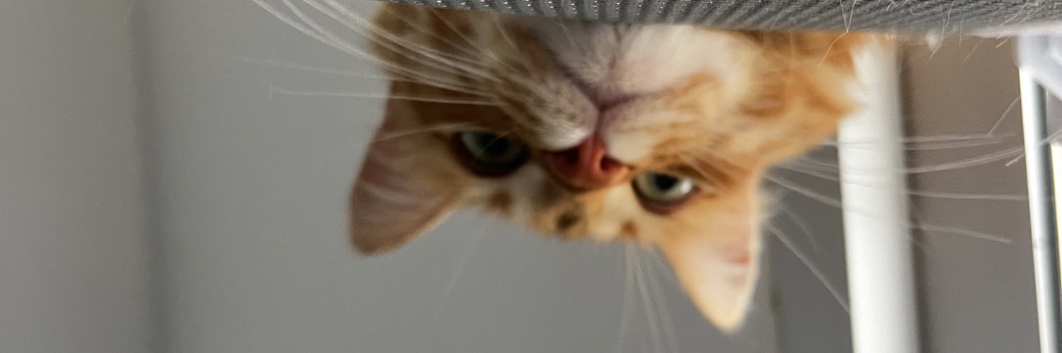 teresasmh's profile banner image