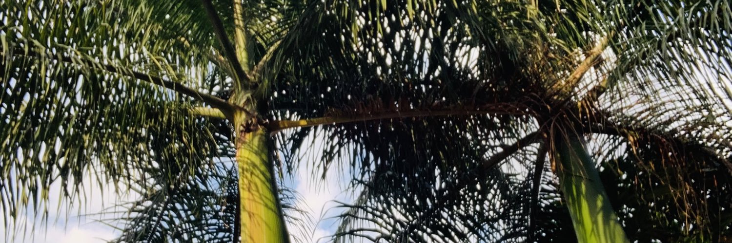 Valéria neves banner