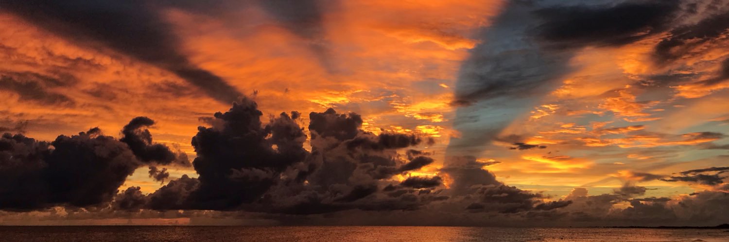 carcvsg's profile banner image