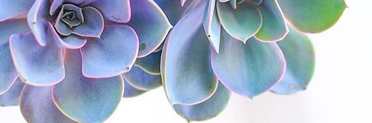 cabreramarite's profile banner image
