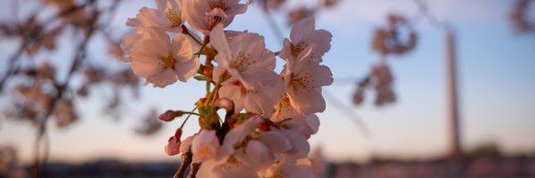 LaRodriguezCJ Profile Banner