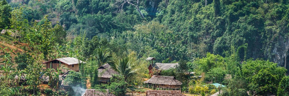 Forest Trends banner