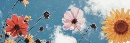 evirenaux's profile banner image