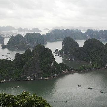 nguyenthang809's profile banner image