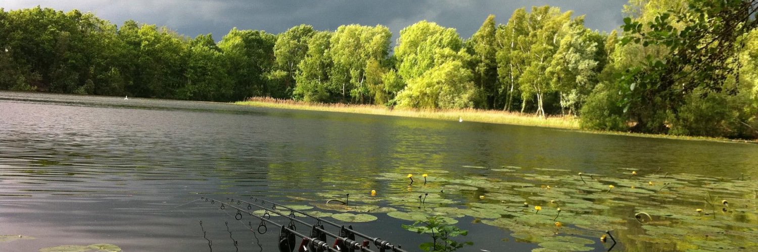 Howard Carter banner