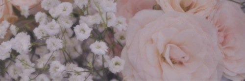 idkcrew's profile banner image
