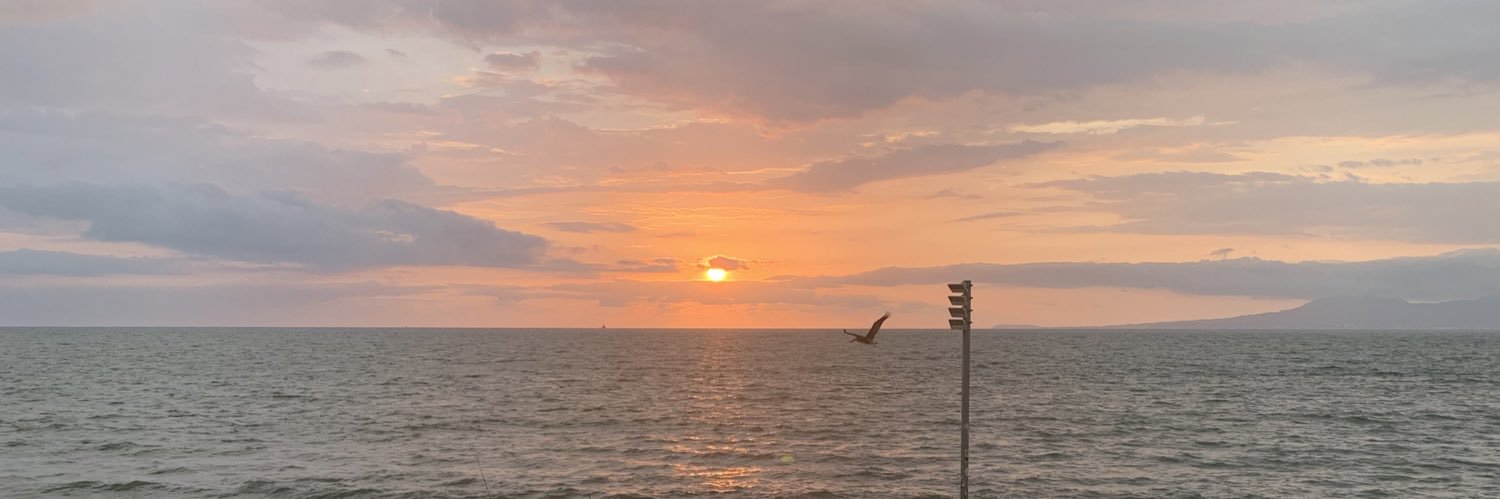 OdalysReynoso's profile banner image