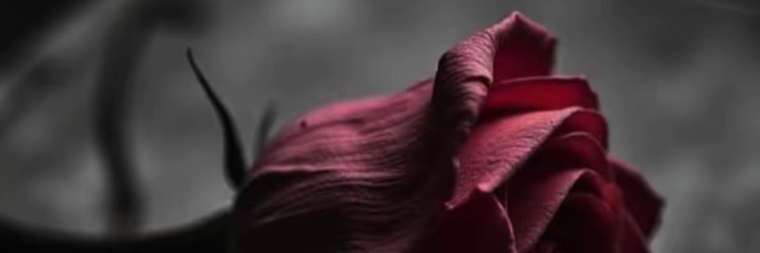 خَالّد ألعدواني🗯️✍🏼 banner