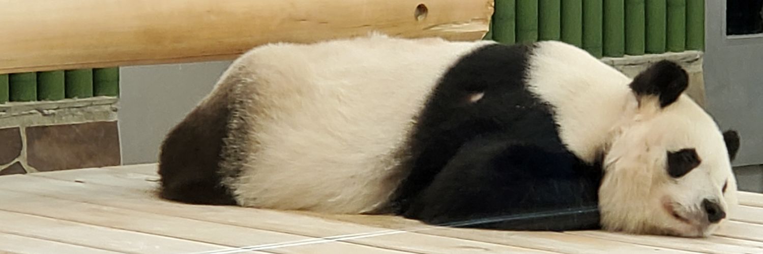 🐼SUPER∞麦子🍺 banner