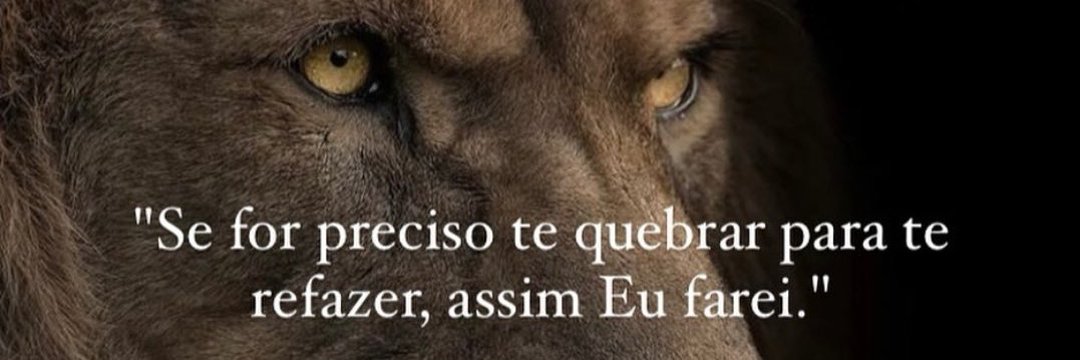 miresmoraes's profile banner image