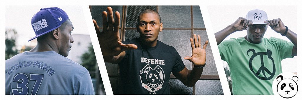 ThePandasFriend's profile banner image