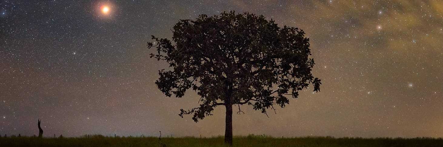 Kaivwk's profile banner image