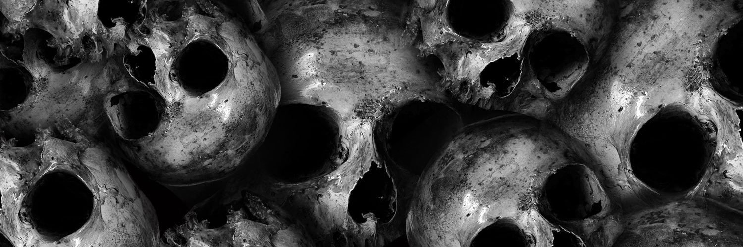 xCellesteee's profile banner image