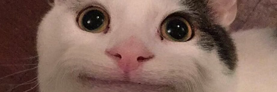 Numaself's profile banner image
