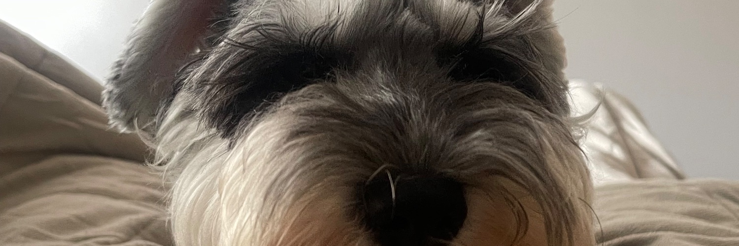 AksonNatalia's profile banner image
