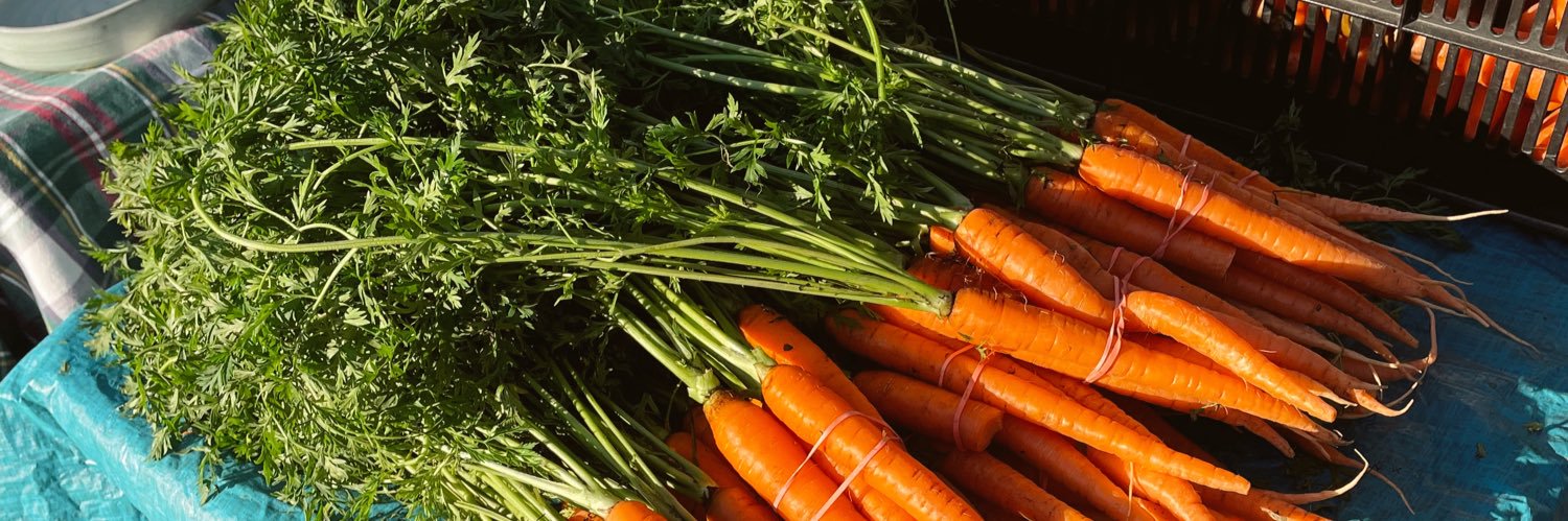 mrs hat ❤️‍🔥 banner