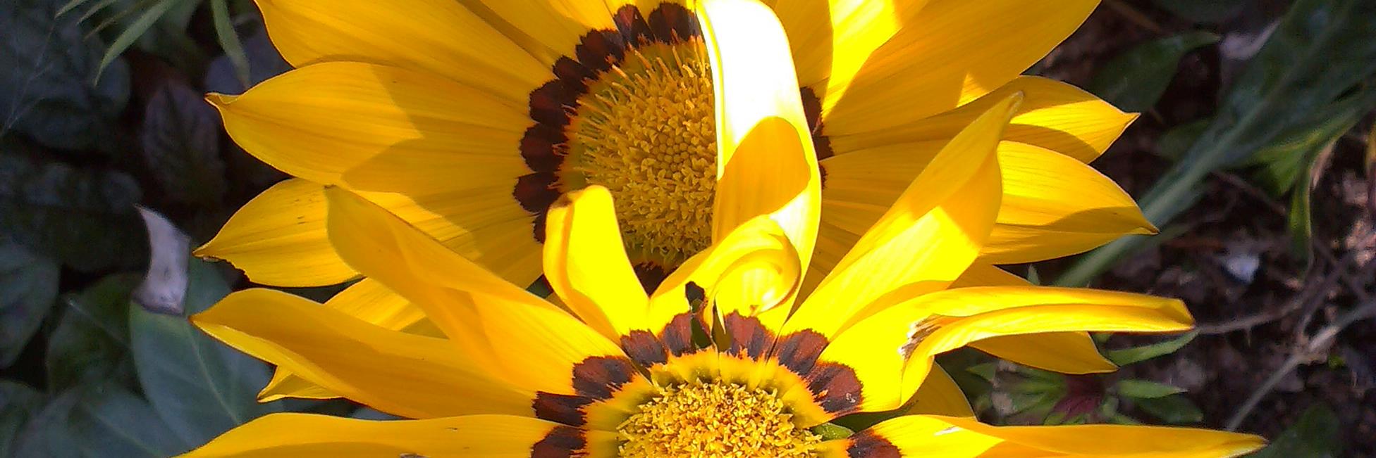_P6924S_'s profile banner image