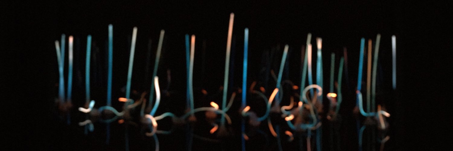 teslaon's profile banner image
