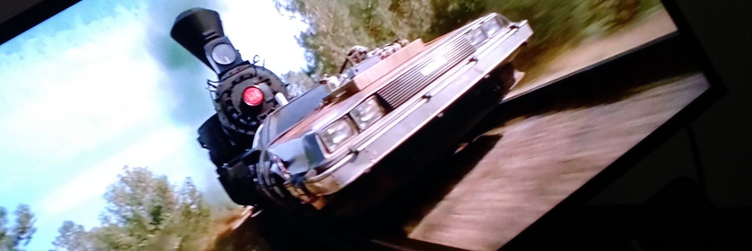 Marty McFly banner