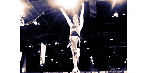Dona fanni banner