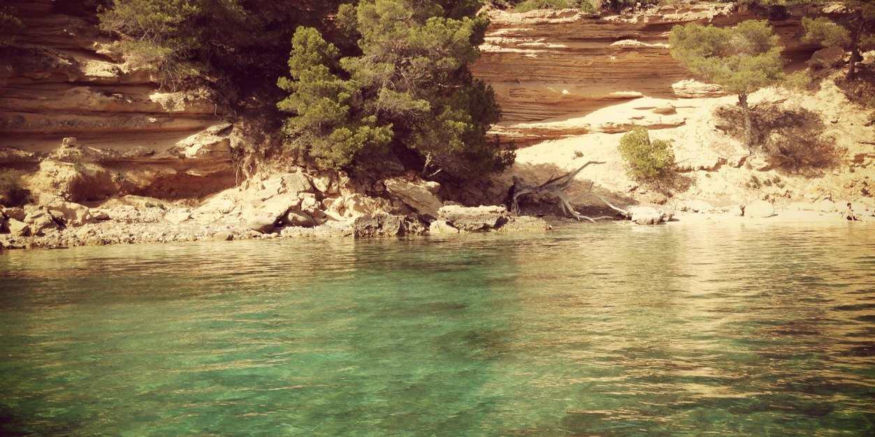 mariadelmarfons's profile banner image