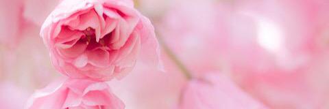 1A1412's profile banner image