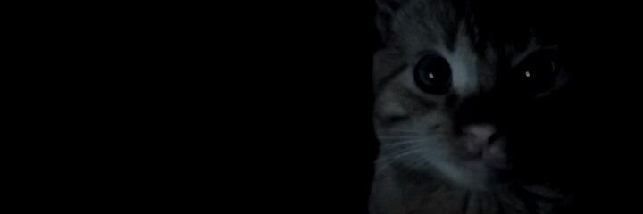 anhedoniah's profile banner image