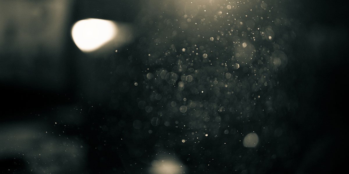 Ria_Bass's profile banner image