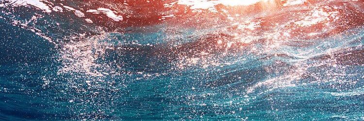 _brlee's profile banner image