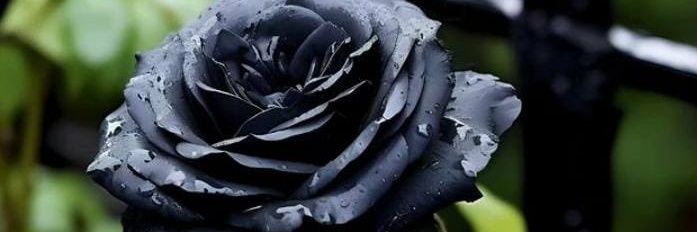 Warung D'Jabbar banner