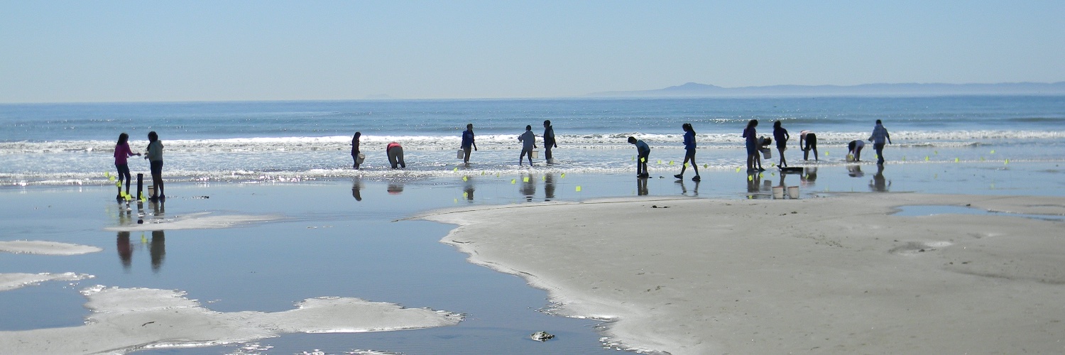 MERITO Foundation banner