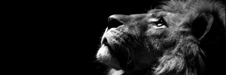 Jerod Fernandez banner