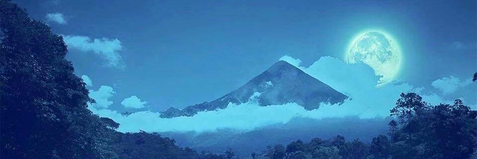 HERBERT SAMAYOA banner