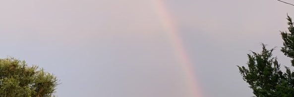 MegRizzi's profile banner image