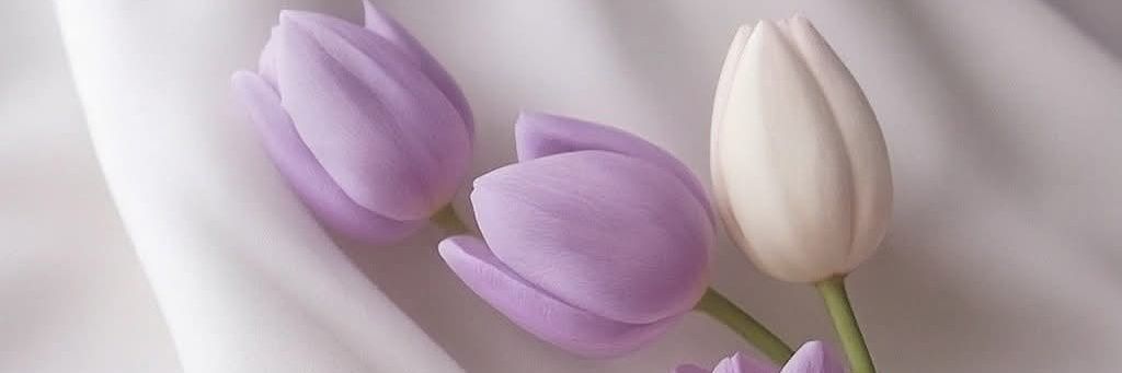 BadyaT's profile banner image