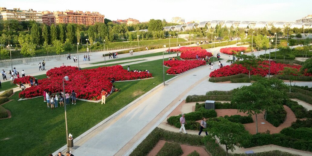 Luis Fernández banner