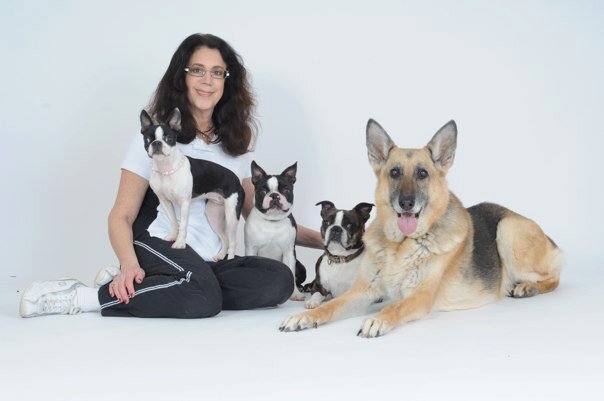 dogtalk5's profile banner image