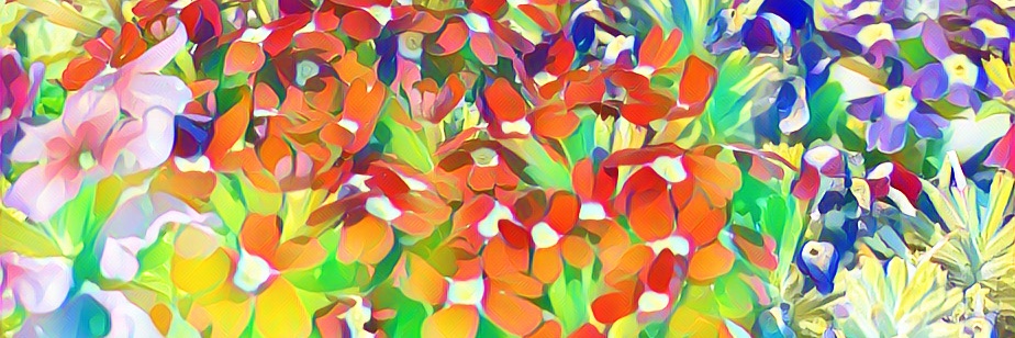 liltxspitfire's profile banner image