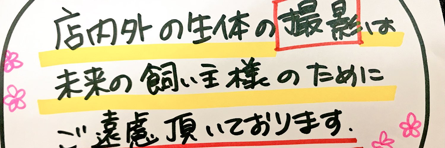 birdstationking's profile banner image