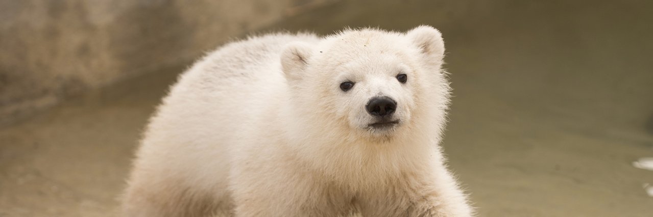 rx2 🇨🇦 🏁💉💉💉💉💉💉💉💉💉💉🌱🪐🐻🦁🧬🔭🧪🎭🍚 banner