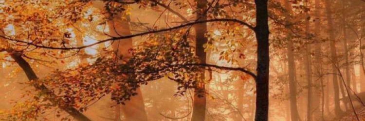 ali01246's profile banner image