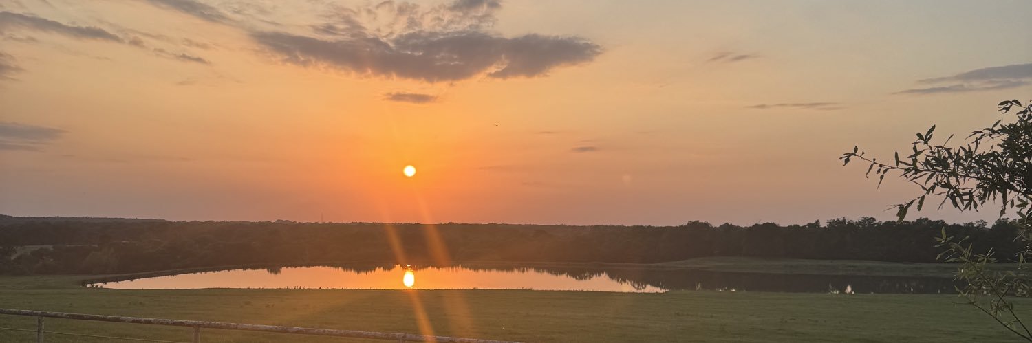 miartaylor's profile banner image