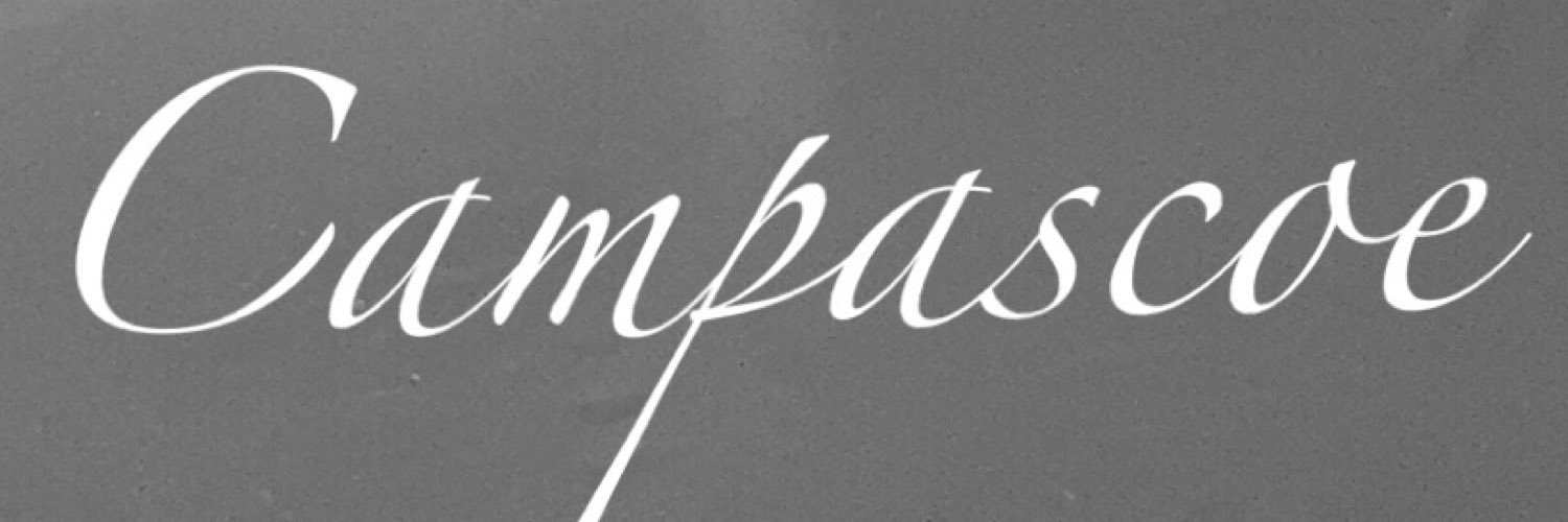 CleverCami's profile banner image
