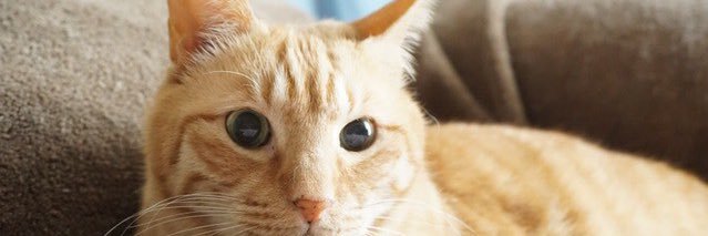 achin_rn's profile banner image