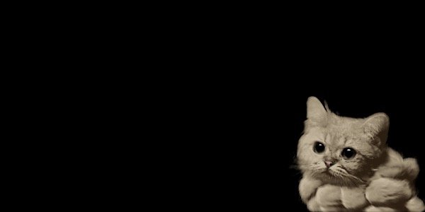 Swaginowski's profile banner image