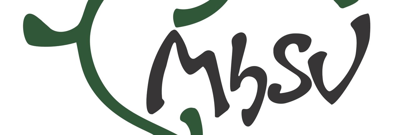mhsv's profile banner image