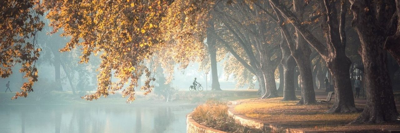 __Ladymm's profile banner image