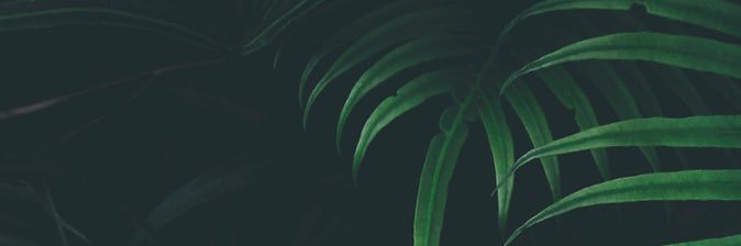 Dan Partington banner